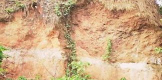 ഇടുക്കിയിലെ വിനോദയാത്ര പൂർണ്ണമായും നിരോധിച്ചു