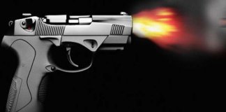 കൊല്‍ക്കത്തയിലെ ഇന്ത്യന്‍ മ്യൂസിയത്തില്‍ വെടിവയ്പ്