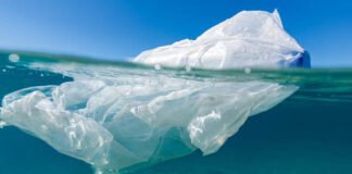 സർക്കുലർ എക്കണോമി സൊലുഷ്യൻസ്