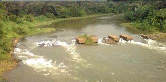 വയോധികയെ രക്ഷപെടുത്തി നാട്ടുകാര്‍