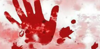 മംഗ്ലൂരു സുള്ള്യയിലെ യുവമോര്ച്ച പ്രവര്ത്തകന്റെ കൊലപാതകം; മൂന്ന് പേര് കൂടി അറസ്റ്റില് മംഗ്ലൂരു സുള്ള്യയിലെ യുവമോര്ച്ച പ്രവര്ത്തകന്റെ കൊലപാതകം