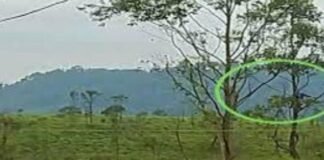 കാട്ടാനക്കൂട്ടമെത്തിയപ്പോല്‍ രക്ഷപെടാന്‍