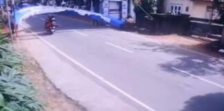 റോഡിൽ സ്ഥാപിച്ചിരുന്ന ആർച്ച് വീണു