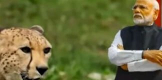 പ്രധാനമന്ത്രി തുറന്നു വിടും
