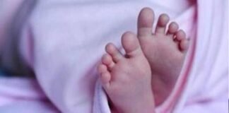 കാർ പിന്നോട്ടെടുക്കുന്നതിനിടെ വാഹനമിടിച്ച് 2 വയസുകാരി മരിച്ചു; ദില്ലി രോഹിണി ഏരിയയിൽ വാഹനമിടിച്ച് 2 വയസുകാരി മരിച്ചു